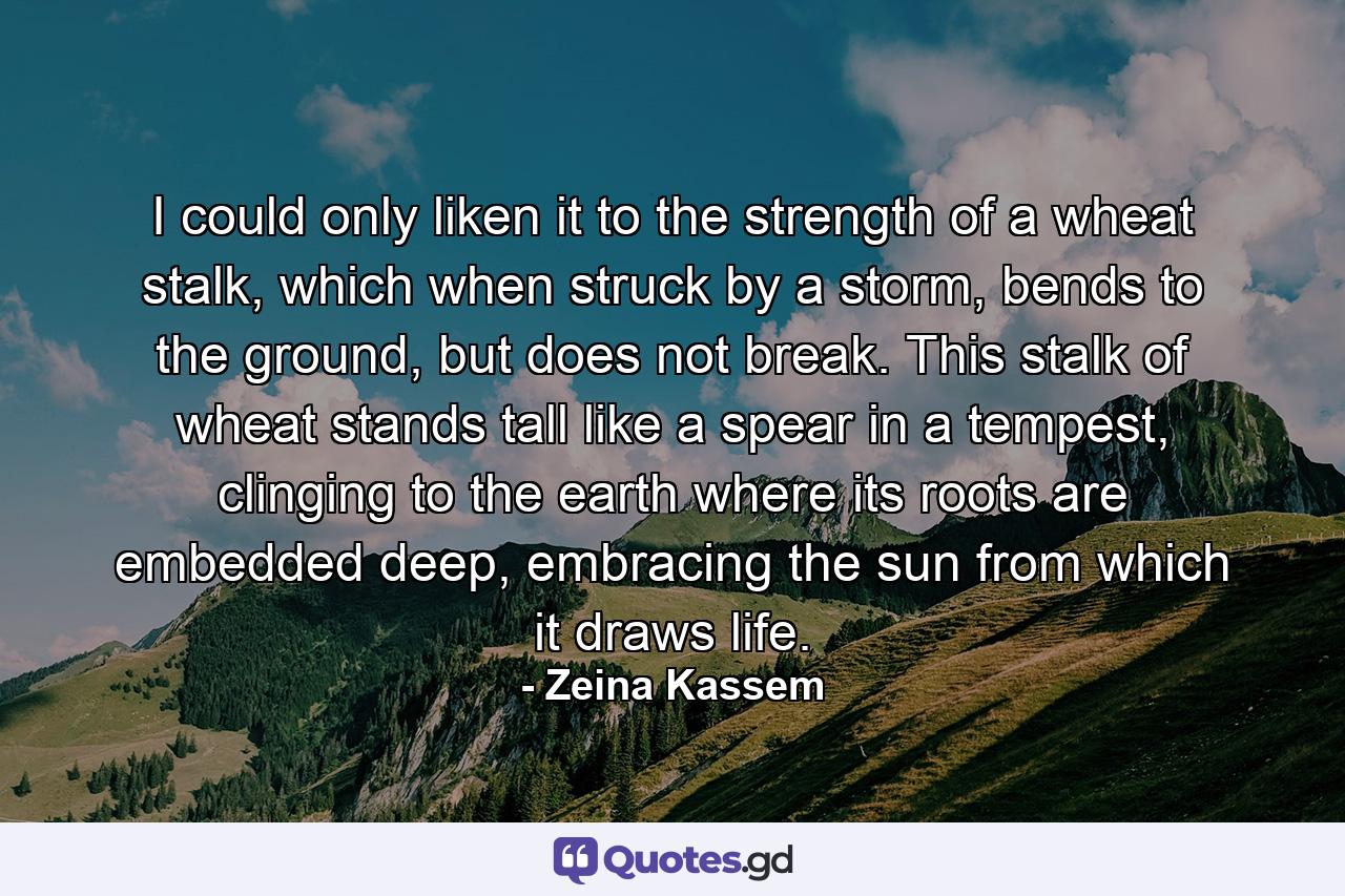 I could only liken it to the strength of a wheat stalk, which when struck by a storm, bends to the ground, but does not break. This stalk of wheat stands tall like a spear in a tempest, clinging to the earth where its roots are embedded deep, embracing the sun from which it draws life. - Quote by Zeina Kassem