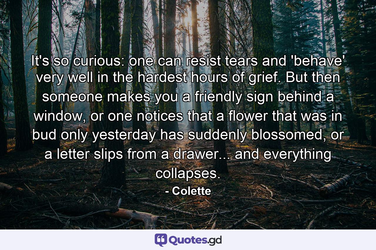 It's so curious: one can resist tears and 'behave' very well in the hardest hours of grief. But then someone makes you a friendly sign behind a window, or one notices that a flower that was in bud only yesterday has suddenly blossomed, or a letter slips from a drawer... and everything collapses. - Quote by Colette