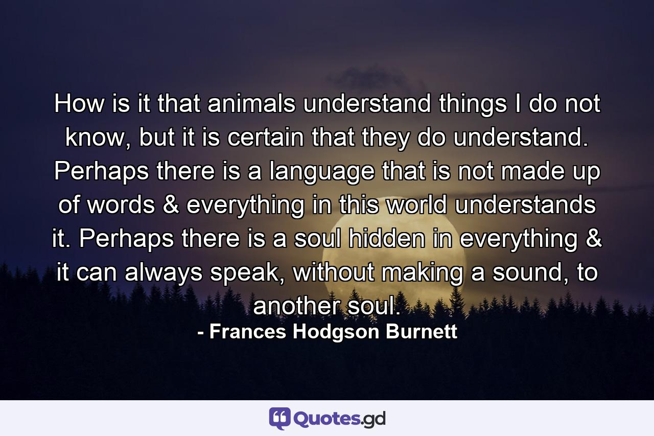 How is it that animals understand things I do not know, but it is certain that they do understand. Perhaps there is a language that is not made up of words & everything in this world understands it. Perhaps there is a soul hidden in everything & it can always speak, without making a sound, to another soul. - Quote by Frances Hodgson Burnett