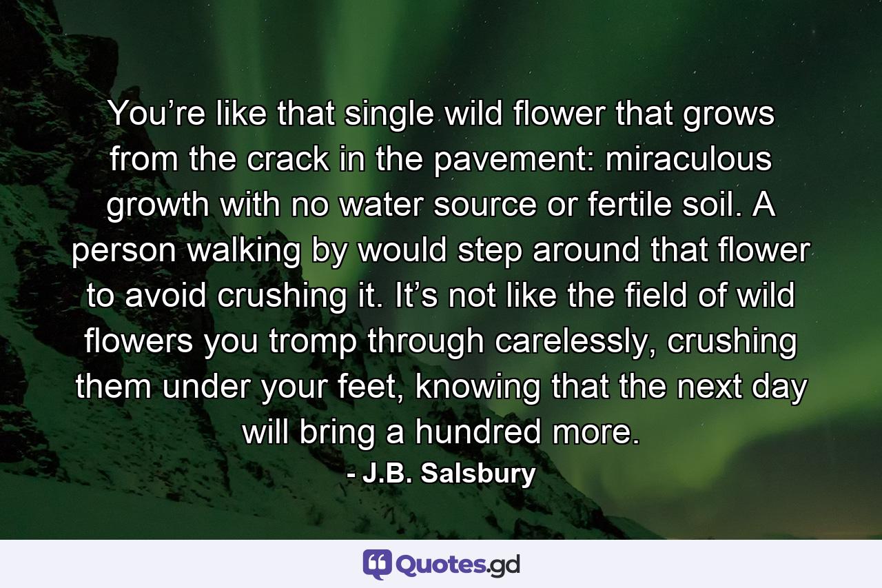 You’re like that single wild flower that grows from the crack in the pavement: miraculous growth with no water source or fertile soil. A person walking by would step around that flower to avoid crushing it. It’s not like the field of wild flowers you tromp through carelessly, crushing them under your feet, knowing that the next day will bring a hundred more. - Quote by J.B. Salsbury