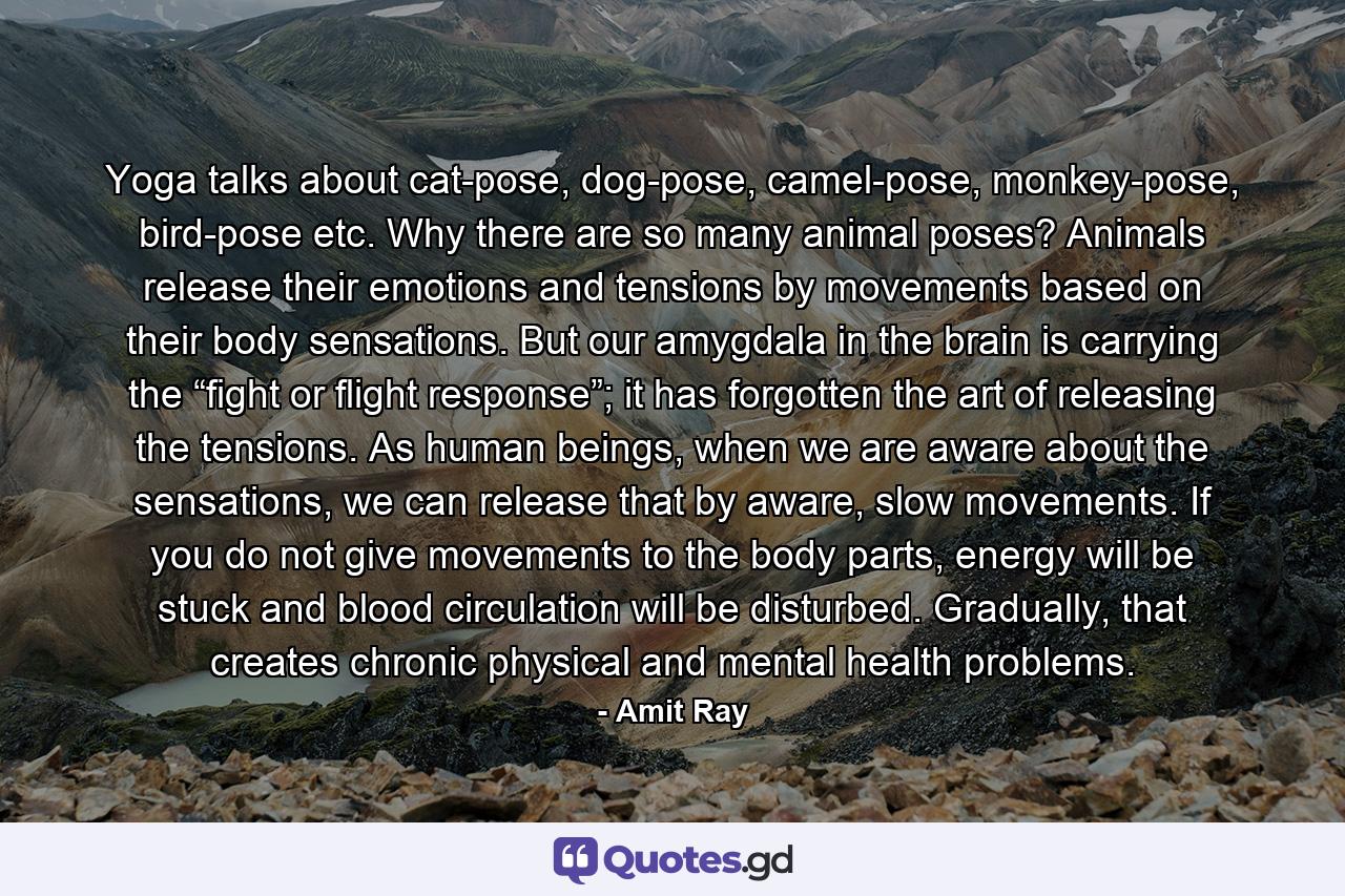 Yoga talks about cat-pose, dog-pose, camel-pose, monkey-pose, bird-pose etc. Why there are so many animal poses? Animals release their emotions and tensions by movements based on their body sensations. But our amygdala in the brain is carrying the “fight or flight response”; it has forgotten the art of releasing the tensions. As human beings, when we are aware about the sensations, we can release that by aware, slow movements. If you do not give movements to the body parts, energy will be stuck and blood circulation will be disturbed. Gradually, that creates chronic physical and mental health problems. - Quote by Amit Ray