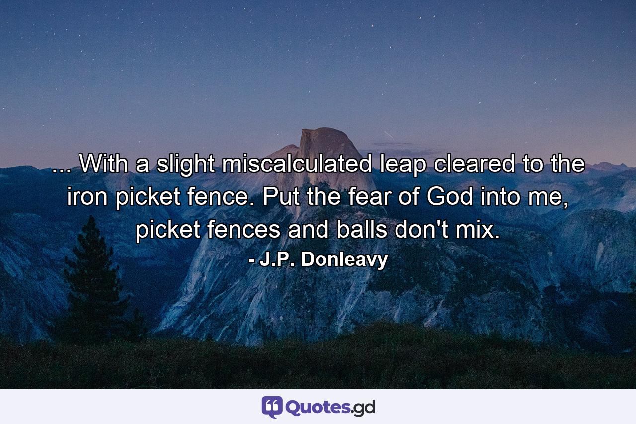 ... With a slight miscalculated leap cleared to the iron picket fence. Put the fear of God into me, picket fences and balls don't mix. - Quote by J.P. Donleavy