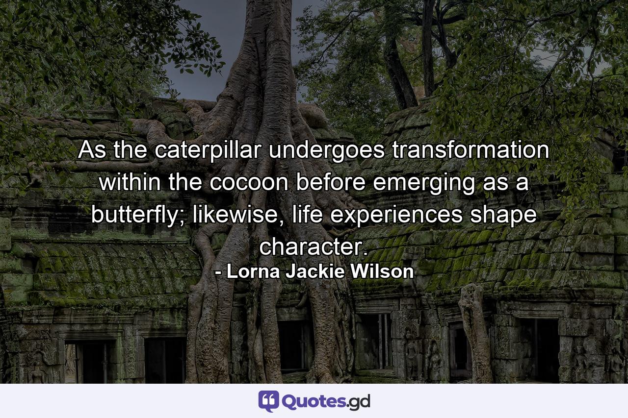 As the caterpillar undergoes transformation within the cocoon before emerging as a butterfly; likewise, life experiences shape character. - Quote by Lorna Jackie Wilson