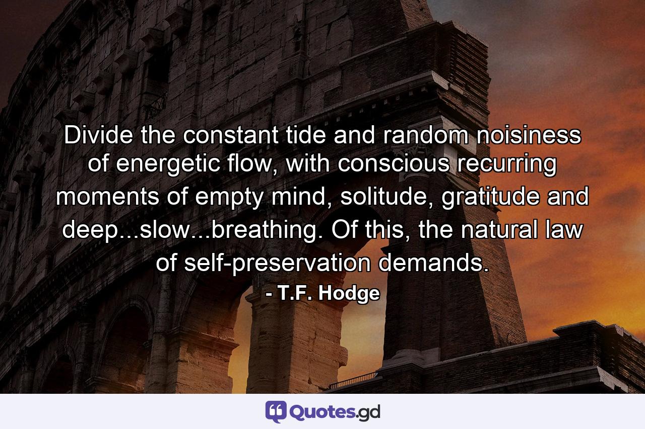 Divide the constant tide and random noisiness of energetic flow, with conscious recurring moments of empty mind, solitude, gratitude and deep...slow...breathing. Of this, the natural law of self-preservation demands. - Quote by T.F. Hodge