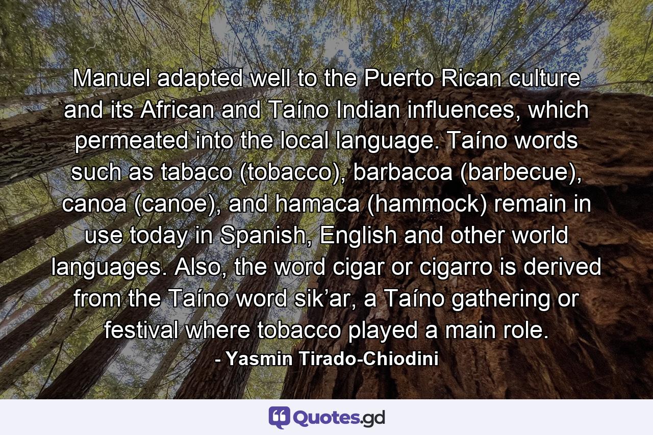 Manuel adapted well to the Puerto Rican culture and its African and Taíno Indian influences, which permeated into the local language. Taíno words such as tabaco (tobacco), barbacoa (barbecue), canoa (canoe), and hamaca (hammock) remain in use today in Spanish, English and other world languages. Also, the word cigar or cigarro is derived from the Taíno word sik’ar, a Taíno gathering or festival where tobacco played a main role. - Quote by Yasmin Tirado-Chiodini