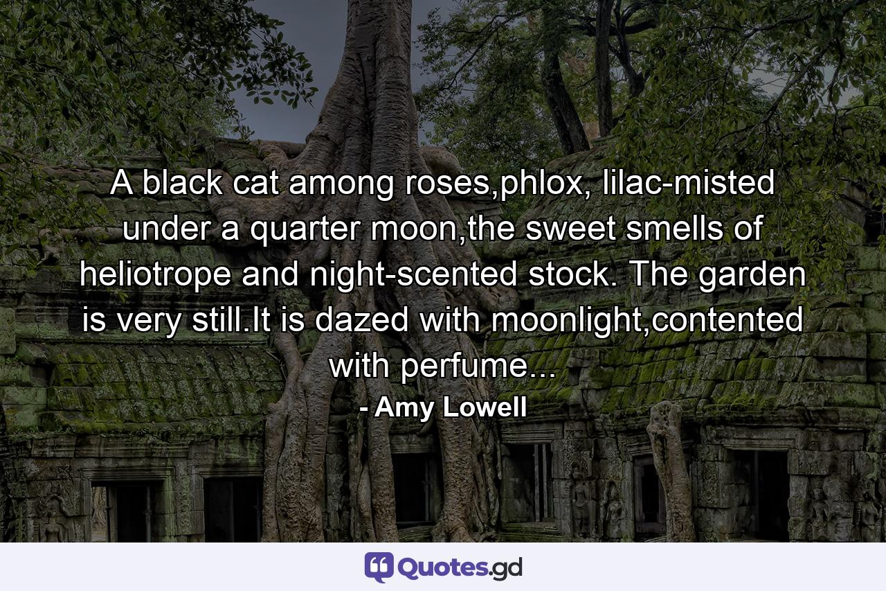 A black cat among roses,phlox, lilac-misted under a quarter moon,the sweet smells of heliotrope and night-scented stock. The garden is very still.It is dazed with moonlight,contented with perfume... - Quote by Amy Lowell