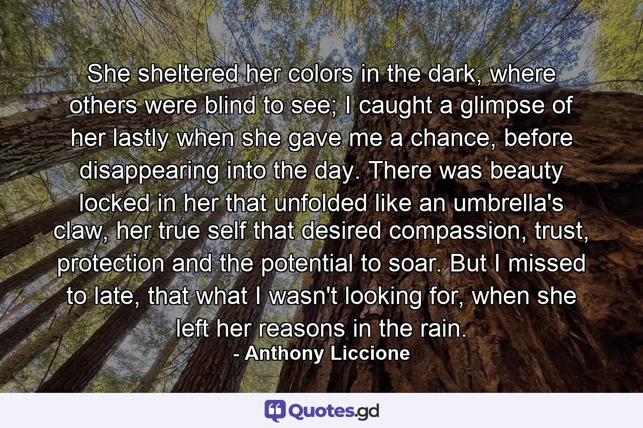 She sheltered her colors in the dark, where others were blind to see; I caught a glimpse of her lastly when she gave me a chance, before disappearing into the day. There was beauty locked in her that unfolded like an umbrella's claw, her true self that desired compassion, trust, protection and the potential to soar. But I missed to late, that what I wasn't looking for, when she left her reasons in the rain. - Quote by Anthony Liccione