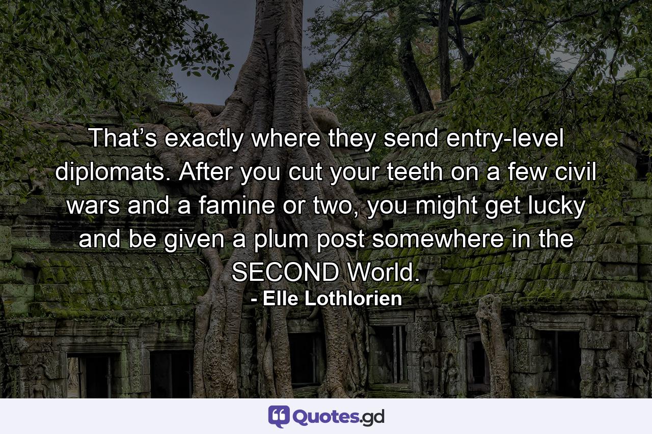 That’s exactly where they send entry-level diplomats. After you cut your teeth on a few civil wars and a famine or two, you might get lucky and be given a plum post somewhere in the SECOND World. - Quote by Elle Lothlorien