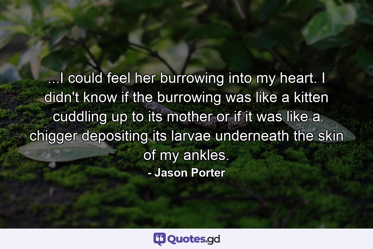 ...I could feel her burrowing into my heart. I didn't know if the burrowing was like a kitten cuddling up to its mother or if it was like a chigger depositing its larvae underneath the skin of my ankles. - Quote by Jason Porter