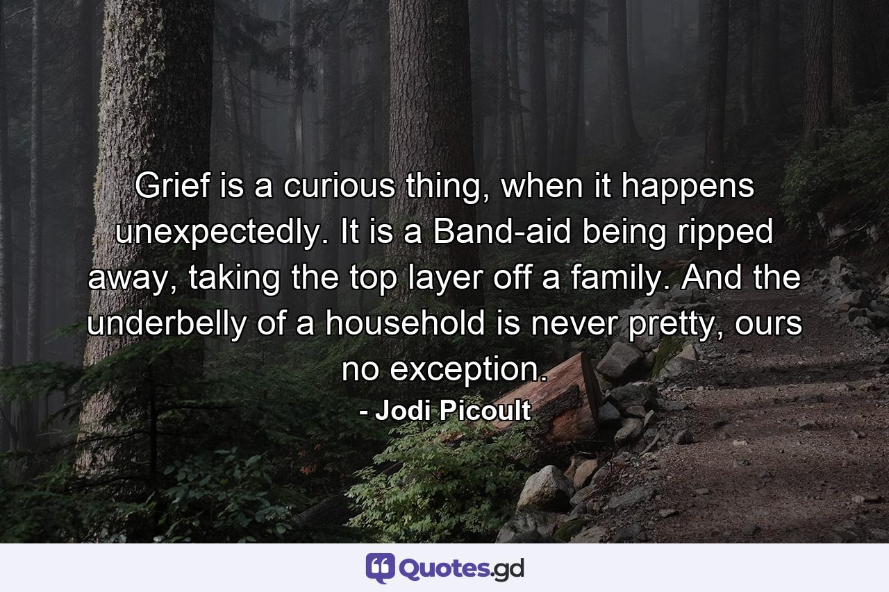 Grief is a curious thing, when it happens unexpectedly. It is a Band-aid being ripped away, taking the top layer off a family. And the underbelly of a household is never pretty, ours no exception. - Quote by Jodi Picoult