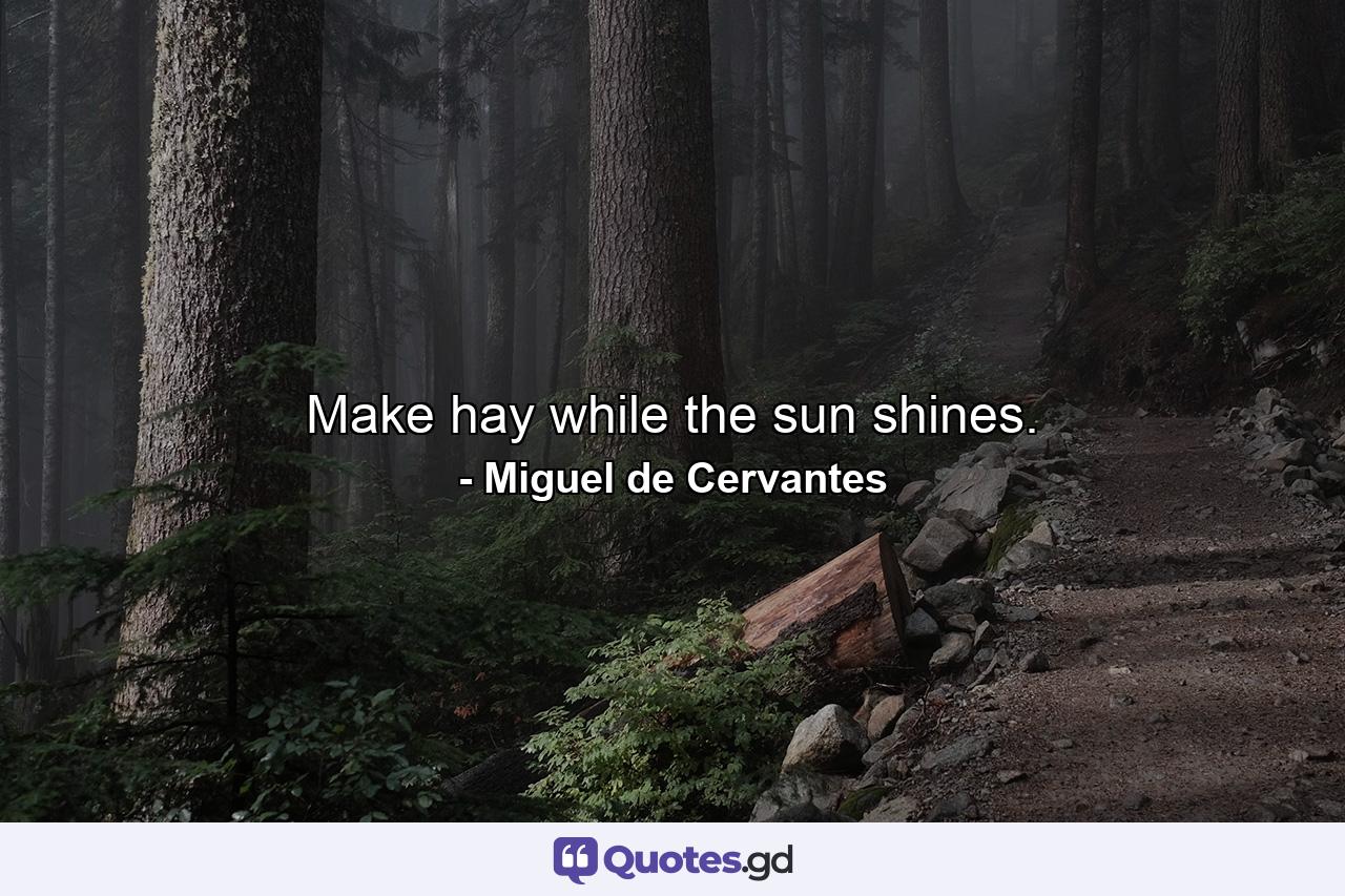 Make hay while the sun shines. - Quote by Miguel de Cervantes