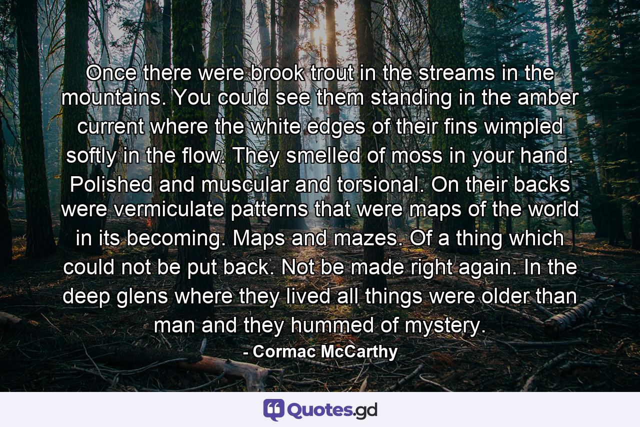 Once there were brook trout in the streams in the mountains. You could see them standing in the amber current where the white edges of their fins wimpled softly in the flow. They smelled of moss in your hand. Polished and muscular and torsional. On their backs were vermiculate patterns that were maps of the world in its becoming. Maps and mazes. Of a thing which could not be put back. Not be made right again. In the deep glens where they lived all things were older than man and they hummed of mystery. - Quote by Cormac McCarthy