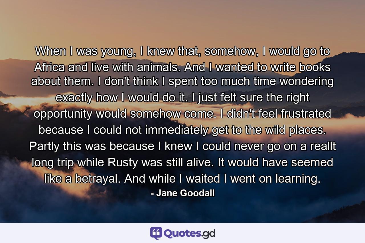 When I was young, I knew that, somehow, I would go to Africa and live with animals. And I wanted to write books about them. I don't think I spent too much time wondering exactly how I would do it. I just felt sure the right opportunity would somehow come. I didn't feel frustrated because I could not immediately get to the wild places. Partly this was because I knew I could never go on a reallt long trip while Rusty was still alive. It would have seemed like a betrayal. And while I waited I went on learning. - Quote by Jane Goodall