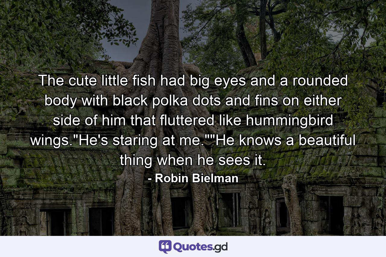 The cute little fish had big eyes and a rounded body with black polka dots and fins on either side of him that fluttered like hummingbird wings.