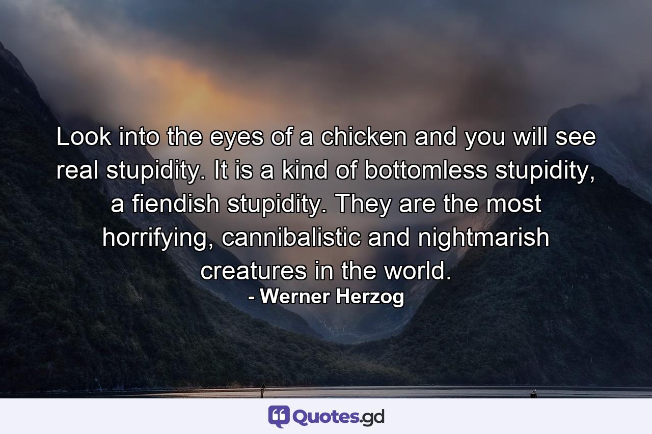 Look into the eyes of a chicken and you will see real stupidity. It is a kind of bottomless stupidity, a fiendish stupidity. They are the most horrifying, cannibalistic and nightmarish creatures in the world. - Quote by Werner Herzog