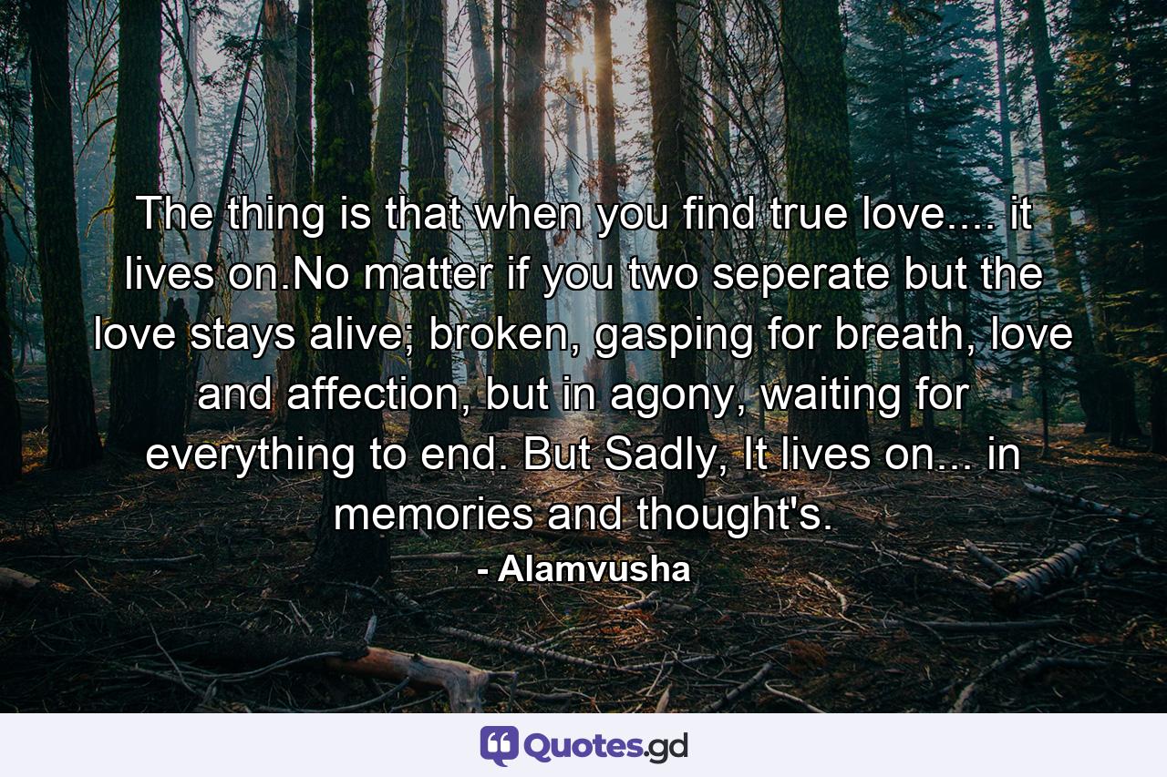 The thing is that when you find true love.... it lives on.No matter if you two seperate but the love stays alive; broken, gasping for breath, love and affection, but in agony, waiting for everything to end. But Sadly, It lives on... in memories and thought's. - Quote by Alamvusha