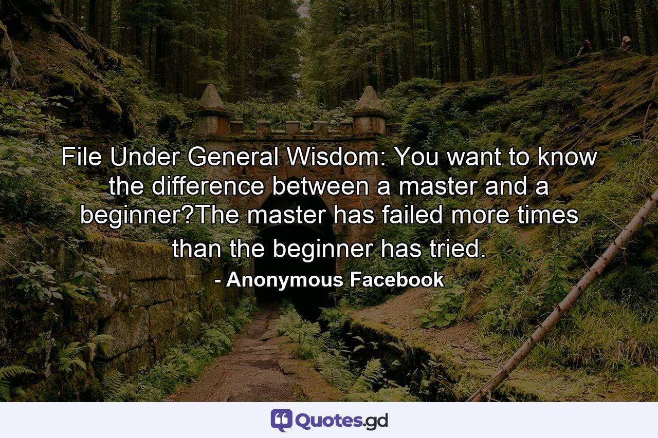 File Under General Wisdom: You want to know the difference between a master and a beginner?The master has failed more times than the beginner has tried. - Quote by Anonymous Facebook