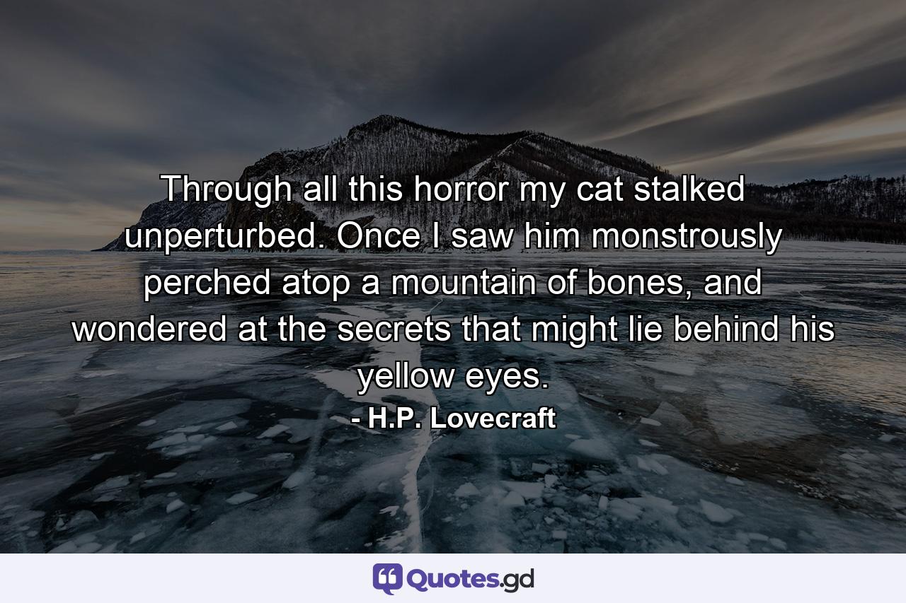 Through all this horror my cat stalked unperturbed. Once I saw him monstrously perched atop a mountain of bones, and wondered at the secrets that might lie behind his yellow eyes. - Quote by H.P. Lovecraft