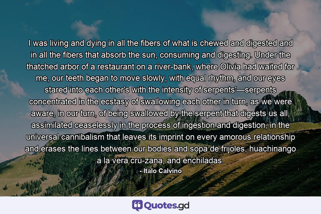 I was living and dying in all the fibers of what is chewed and digested and in all the fibers that absorb the sun, consuming and digesting. Under the thatched arbor of a restaurant on a river-bank, where Olivia had waited for me, our teeth began to move slowly, with equal rhythm, and our eyes stared into each other's with the intensity of serpents'—serpents concentrated in the ecstasy of swallowing each other in turn, as we were aware, in our turn, of being swallowed by the serpent that digests us all, assimilated ceaselessly in the process of ingestion and digestion, in the universal cannibalism that leaves its imprint on every amorous relationship and erases the lines between our bodies and sopa de frijoles, huachinango a la vera cru-zana, and enchiladas. - Quote by Italo Calvino