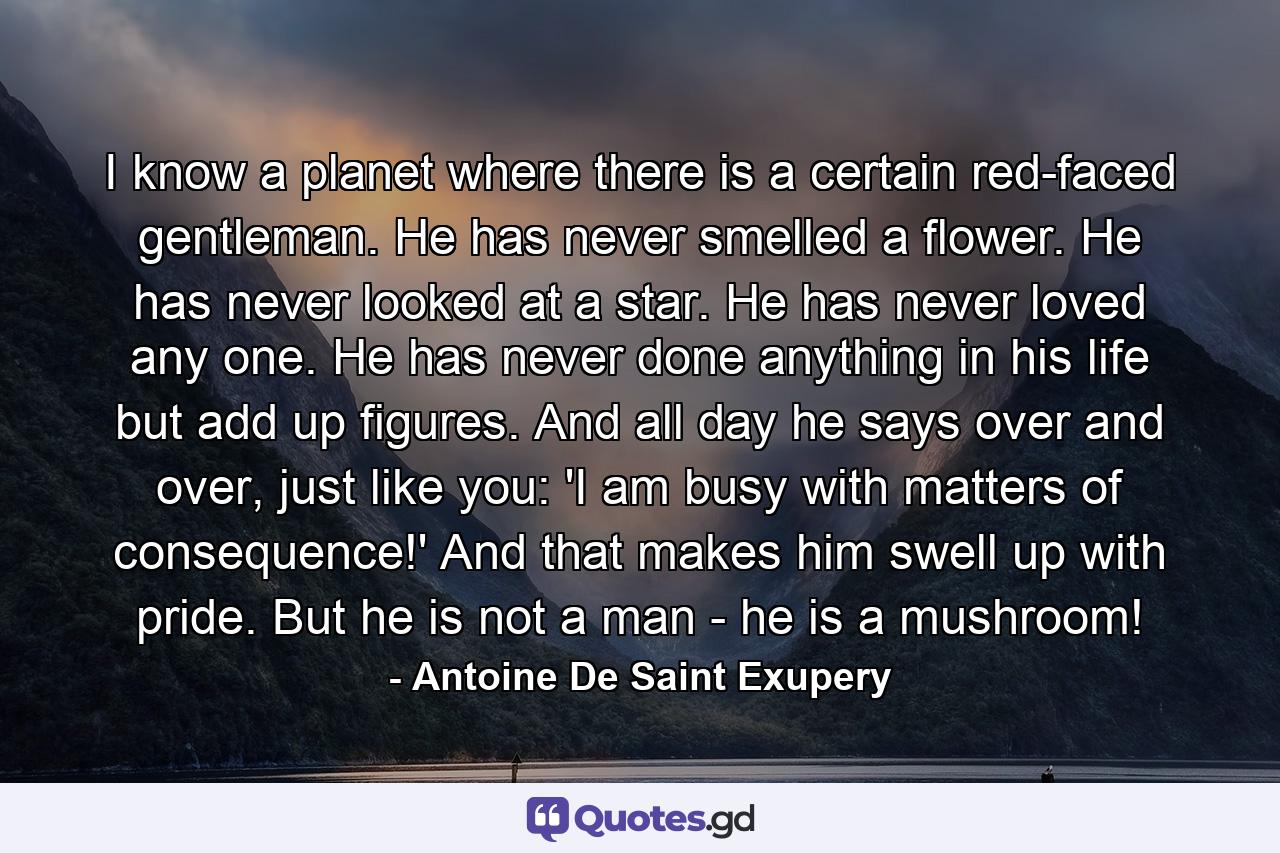 I know a planet where there is a certain red-faced gentleman. He has never smelled a flower. He has never looked at a star. He has never loved any one. He has never done anything in his life but add up figures. And all day he says over and over, just like you: 'I am busy with matters of consequence!' And that makes him swell up with pride. But he is not a man - he is a mushroom! - Quote by Antoine De Saint Exupery