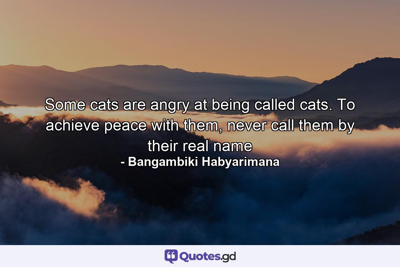 Some cats are angry at being called cats. To achieve peace with them, never call them by their real name - Quote by Bangambiki Habyarimana