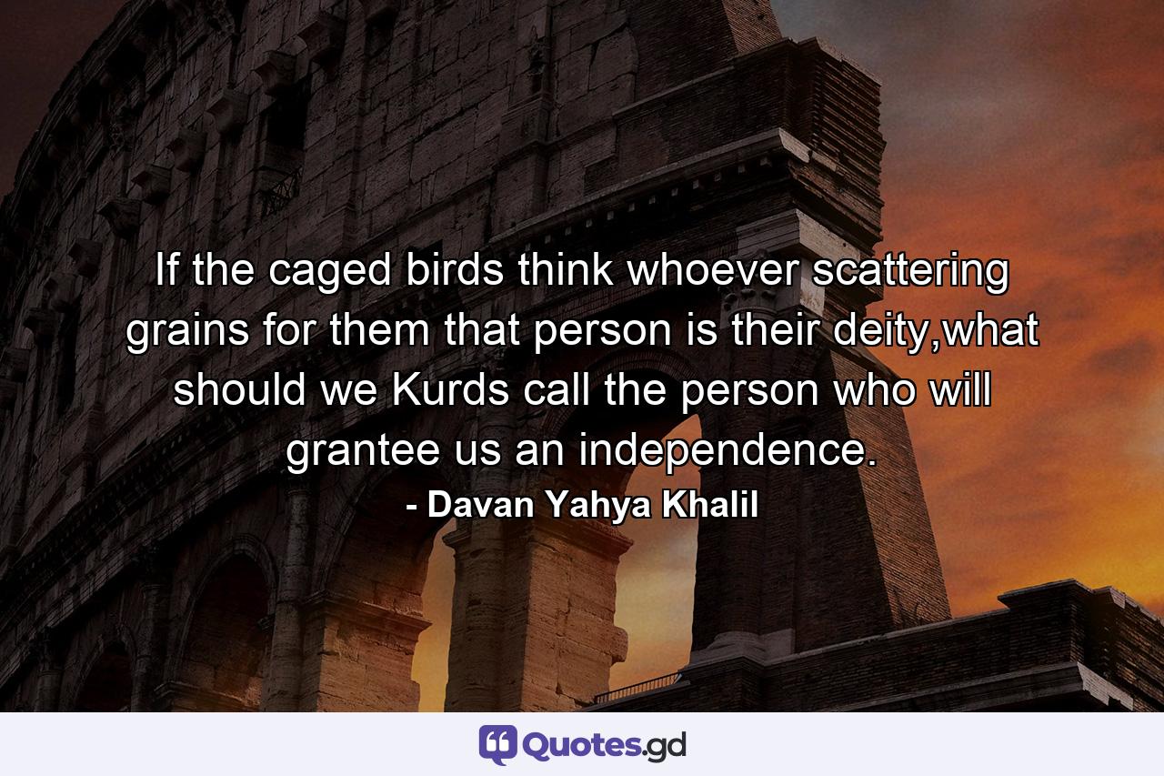 If the caged birds think whoever scattering grains for them that person is their deity,what should we Kurds call the person who will grantee us an independence. - Quote by Davan Yahya Khalil