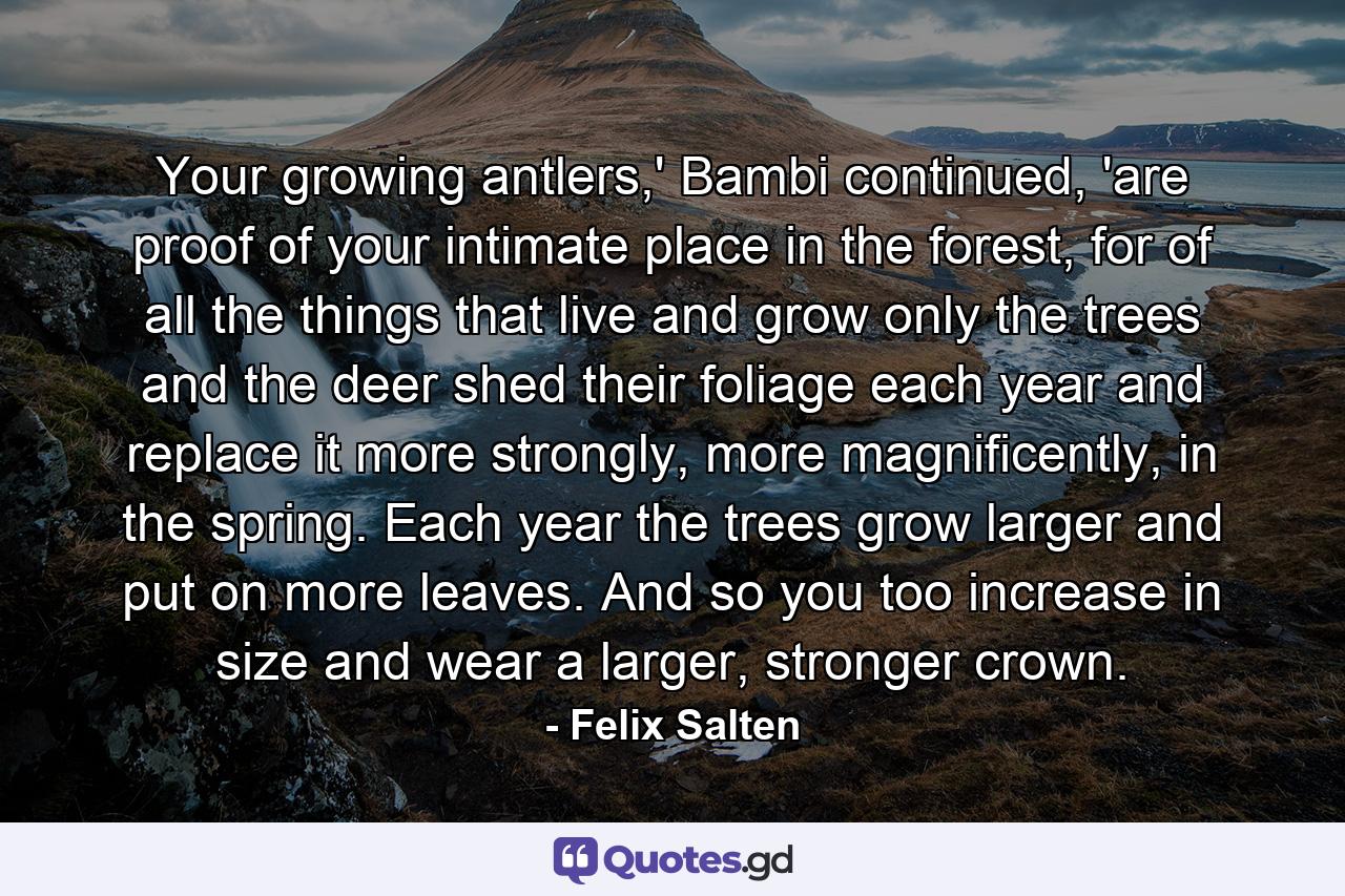 Your growing antlers,' Bambi continued, 'are proof of your intimate place in the forest, for of all the things that live and grow only the trees and the deer shed their foliage each year and replace it more strongly, more magnificently, in the spring. Each year the trees grow larger and put on more leaves. And so you too increase in size and wear a larger, stronger crown. - Quote by Felix Salten