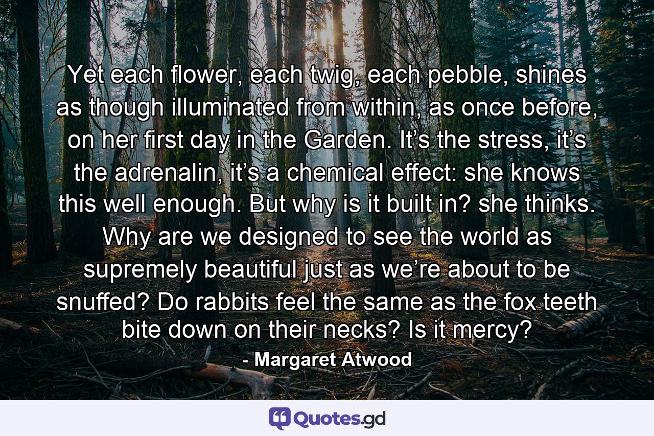 Yet each flower, each twig, each pebble, shines as though illuminated from within, as once before, on her first day in the Garden. It’s the stress, it’s the adrenalin, it’s a chemical effect: she knows this well enough. But why is it built in? she thinks. Why are we designed to see the world as supremely beautiful just as we’re about to be snuffed? Do rabbits feel the same as the fox teeth bite down on their necks? Is it mercy? - Quote by Margaret Atwood