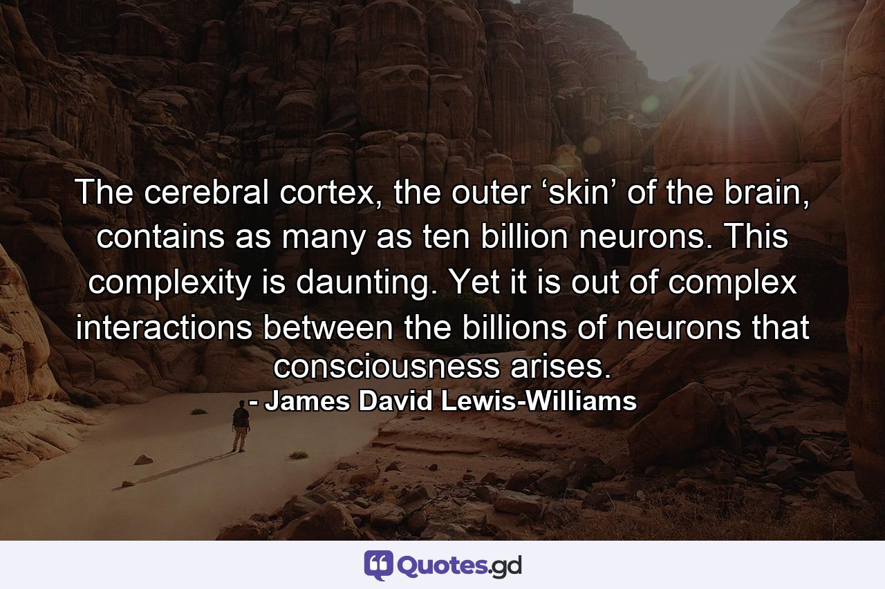 The cerebral cortex, the outer ‘skin’ of the brain, contains as many as ten billion neurons. This complexity is daunting. Yet it is out of complex interactions between the billions of neurons that consciousness arises. - Quote by James David Lewis-Williams