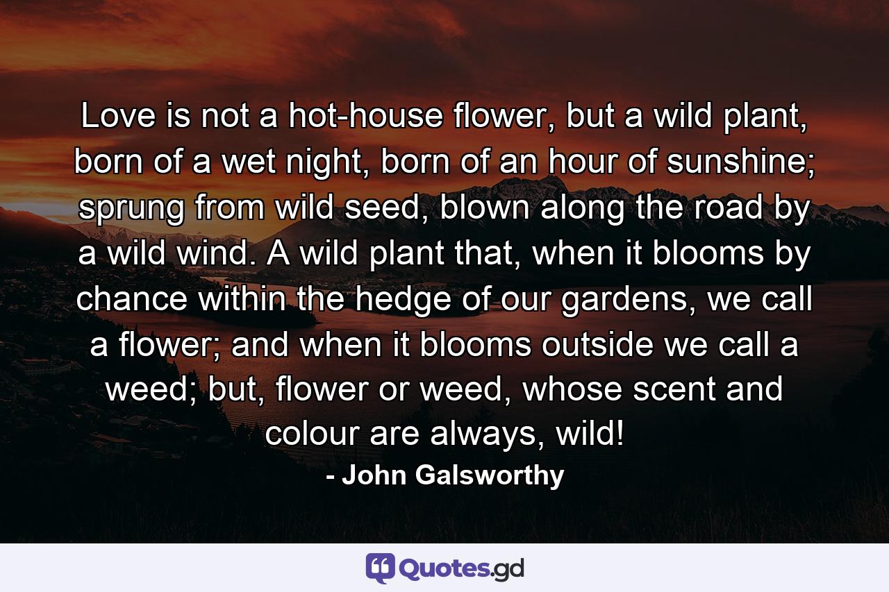 Love is not a hot-house flower, but a wild plant, born of a wet night, born of an hour of sunshine; sprung from wild seed, blown along the road by a wild wind. A wild plant that, when it blooms by chance within the hedge of our gardens, we call a flower; and when it blooms outside we call a weed; but, flower or weed, whose scent and colour are always, wild! - Quote by John Galsworthy