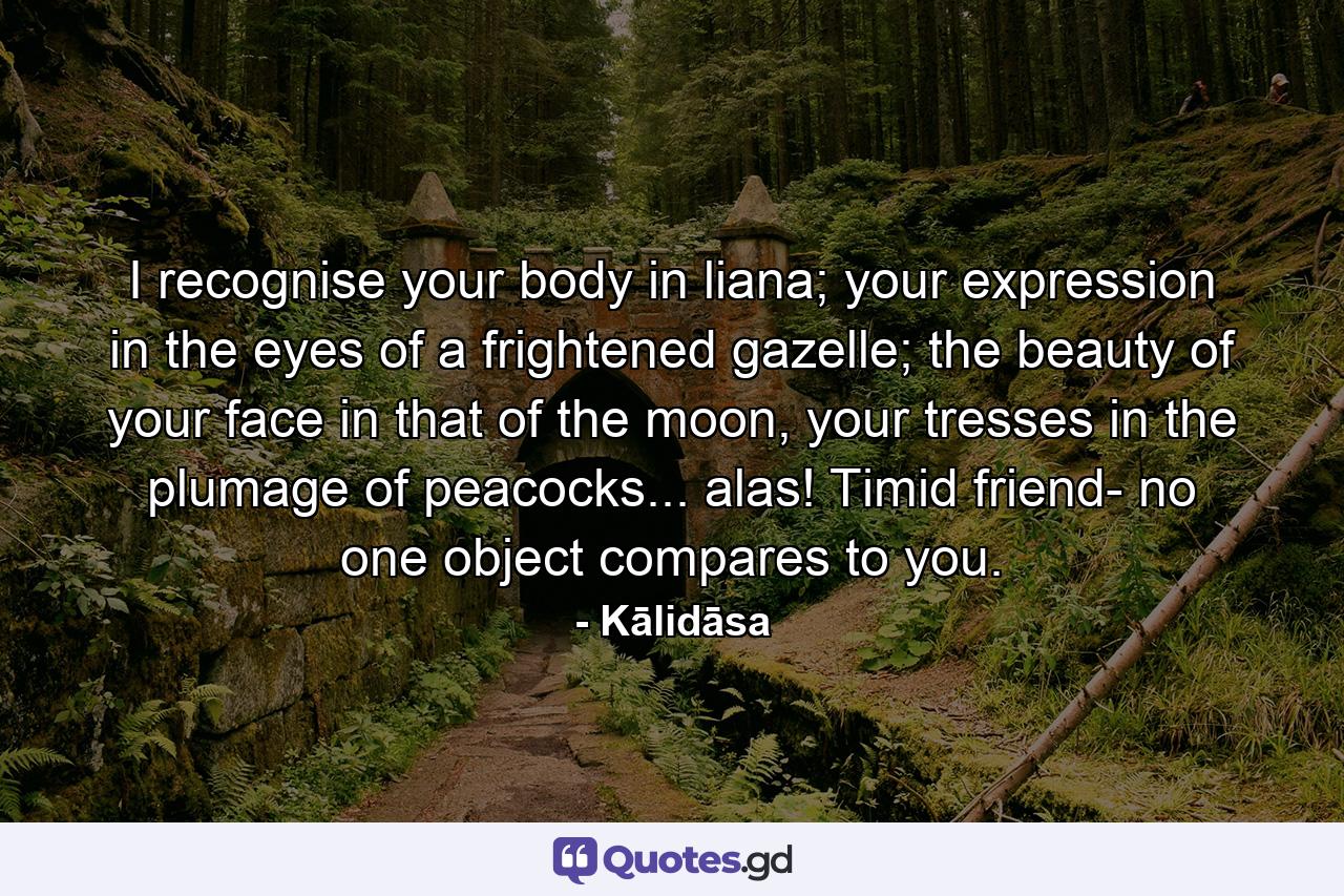 I recognise your body in liana; your expression in the eyes of a frightened gazelle; the beauty of your face in that of the moon, your tresses in the plumage of peacocks... alas! Timid friend- no one object compares to you. - Quote by Kālidāsa