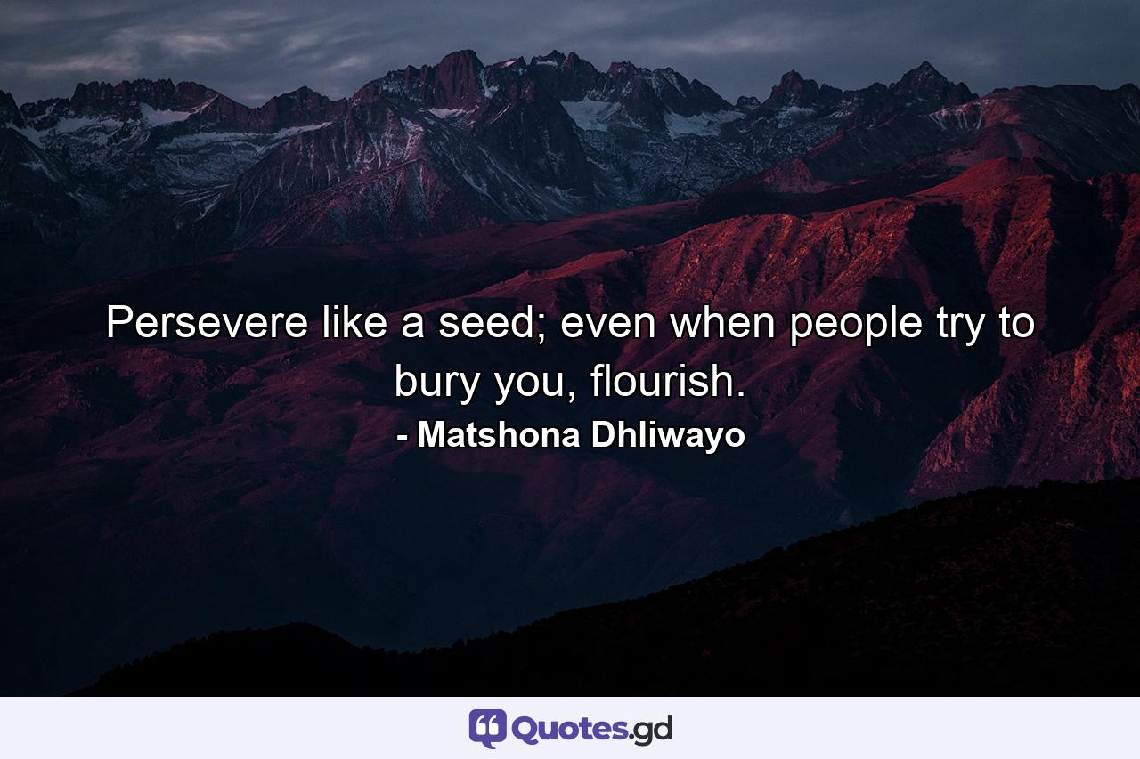 Persevere like a seed; even when people try to bury you, flourish. - Quote by Matshona Dhliwayo