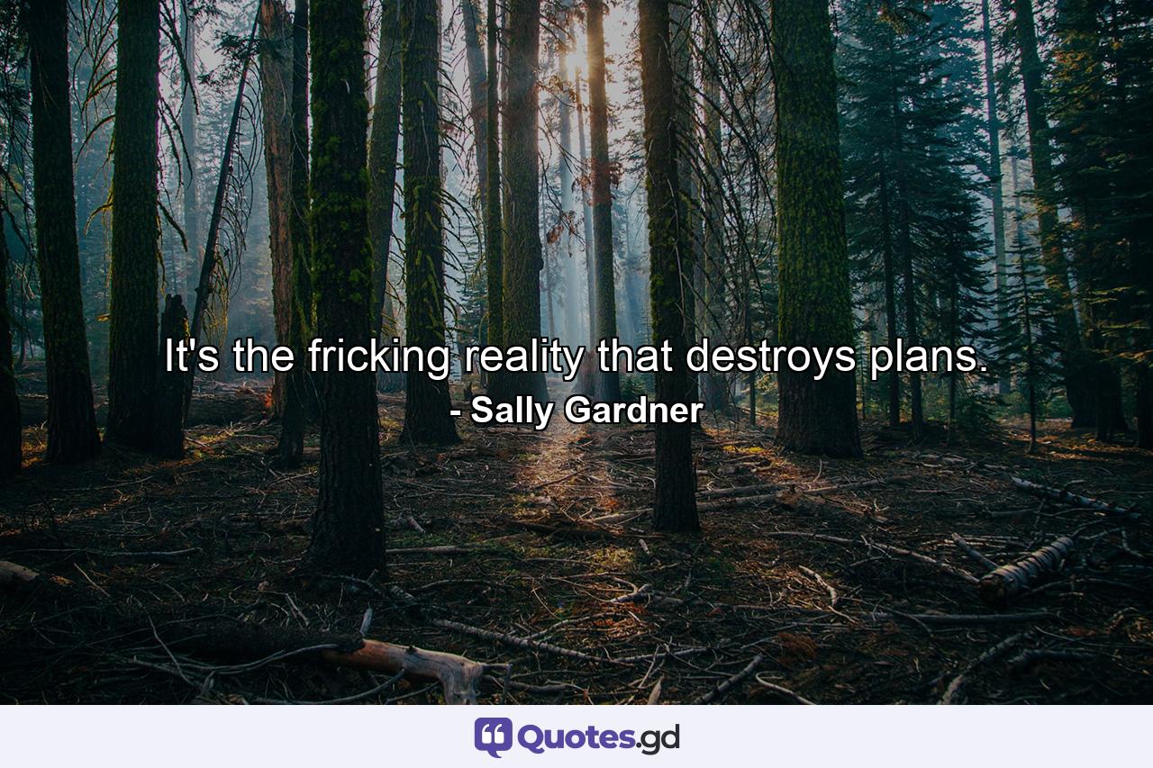 It's the fricking reality that destroys plans. - Quote by Sally Gardner