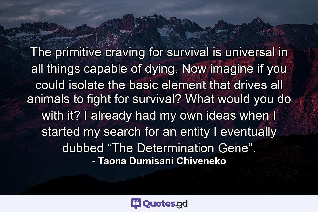 The primitive craving for survival is universal in all things capable of dying. Now imagine if you could isolate the basic element that drives all animals to fight for survival? What would you do with it? I already had my own ideas when I started my search for an entity I eventually dubbed “The Determination Gene”. - Quote by Taona Dumisani Chiveneko