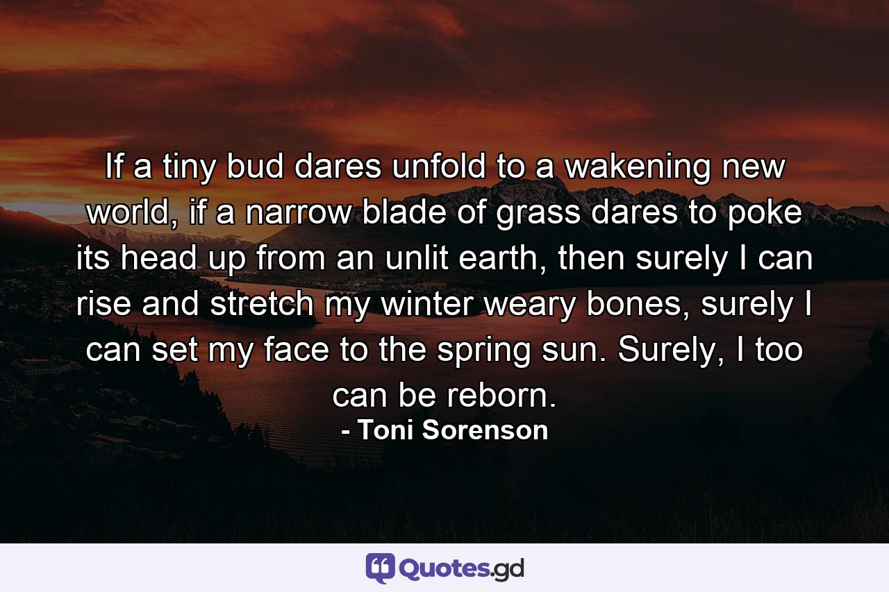 If a tiny bud dares unfold to a wakening new world, if a narrow blade of grass dares to poke its head up from an unlit earth, then surely I can rise and stretch my winter weary bones, surely I can set my face to the spring sun. Surely, I too can be reborn. - Quote by Toni Sorenson