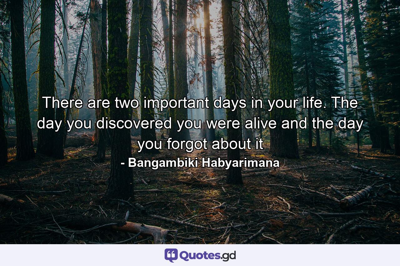 There are two important days in your life. The day you discovered you were alive and the day you forgot about it - Quote by Bangambiki Habyarimana