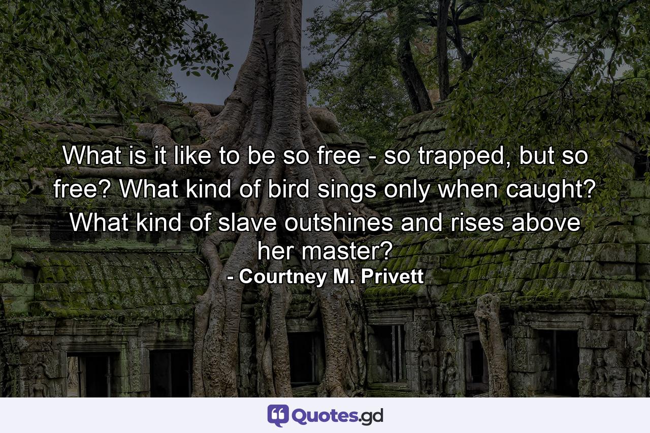 What is it like to be so free - so trapped, but so free? What kind of bird sings only when caught? What kind of slave outshines and rises above her master? - Quote by Courtney M. Privett