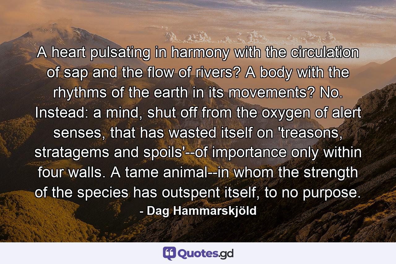 A heart pulsating in harmony with the circulation of sap and the flow of rivers? A body with the rhythms of the earth in its movements? No. Instead: a mind, shut off from the oxygen of alert senses, that has wasted itself on 'treasons, stratagems and spoils'--of importance only within four walls. A tame animal--in whom the strength of the species has outspent itself, to no purpose. - Quote by Dag Hammarskjöld