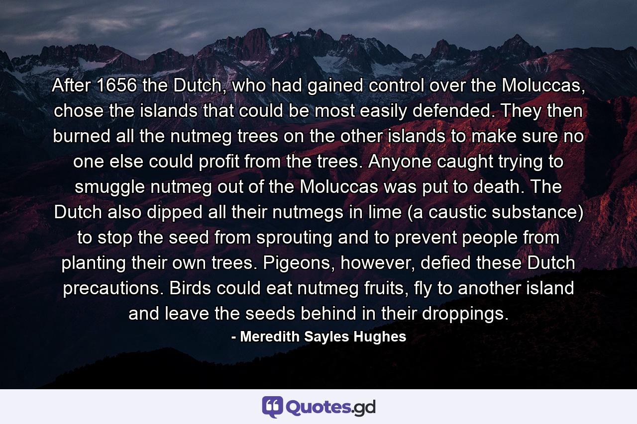 After 1656 the Dutch, who had gained control over the Moluccas, chose the islands that could be most easily defended. They then burned all the nutmeg trees on the other islands to make sure no one else could profit from the trees. Anyone caught trying to smuggle nutmeg out of the Moluccas was put to death. The Dutch also dipped all their nutmegs in lime (a caustic substance) to stop the seed from sprouting and to prevent people from planting their own trees. Pigeons, however, defied these Dutch precautions. Birds could eat nutmeg fruits, fly to another island and leave the seeds behind in their droppings. - Quote by Meredith Sayles Hughes