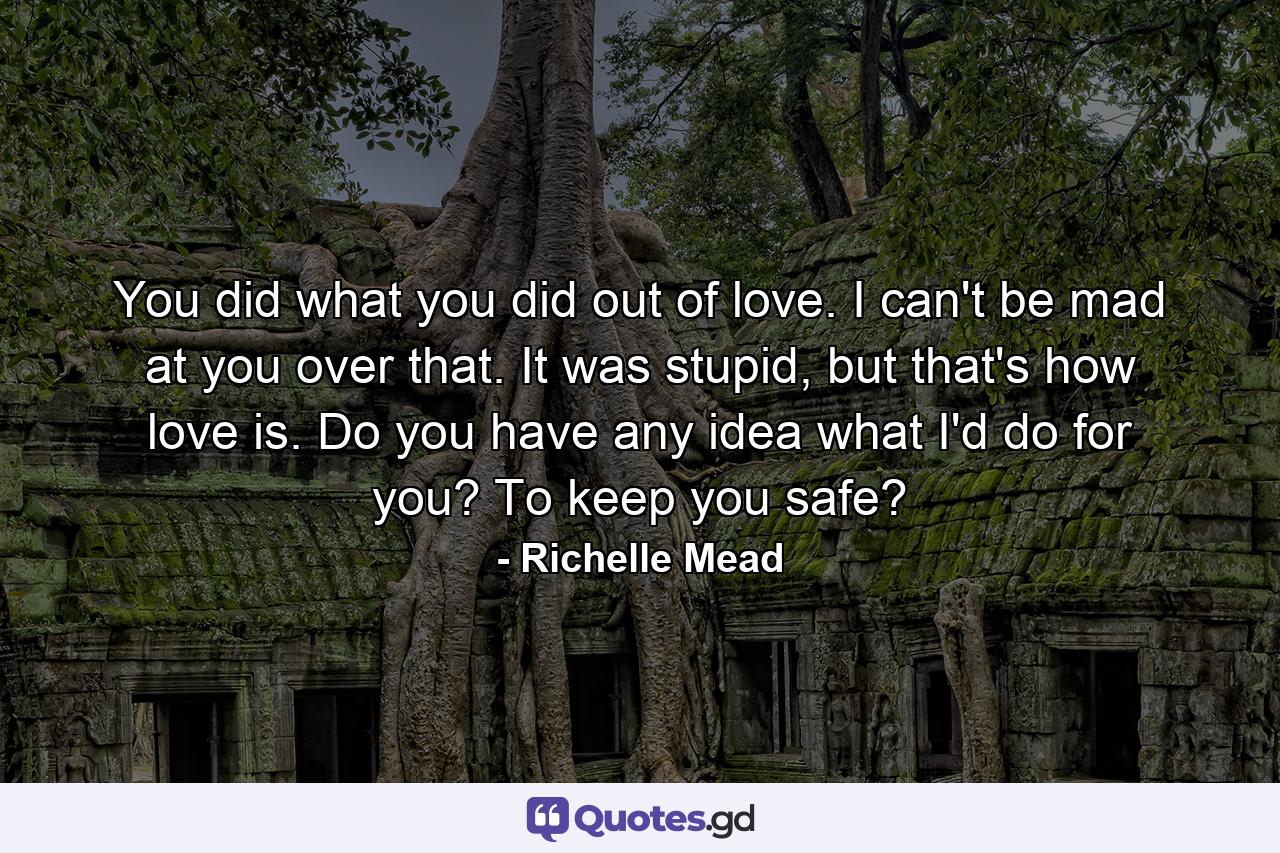 You did what you did out of love. I can't be mad at you over that. It was stupid, but that's how love is. Do you have any idea what I'd do for you? To keep you safe? - Quote by Richelle Mead