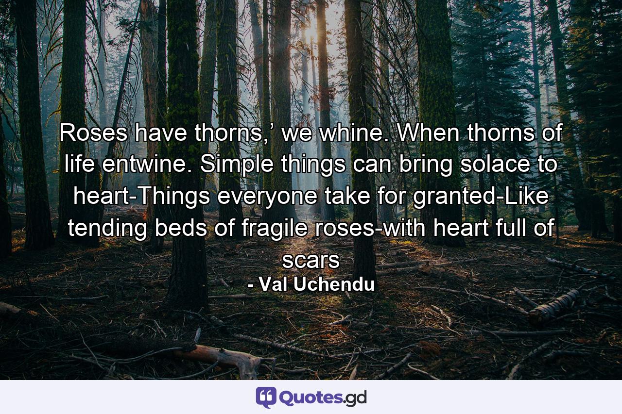 Roses have thorns,’ we whine. When thorns of life entwine. Simple things can bring solace to heart-Things everyone take for granted-Like tending beds of fragile roses-with heart full of scars - Quote by Val Uchendu