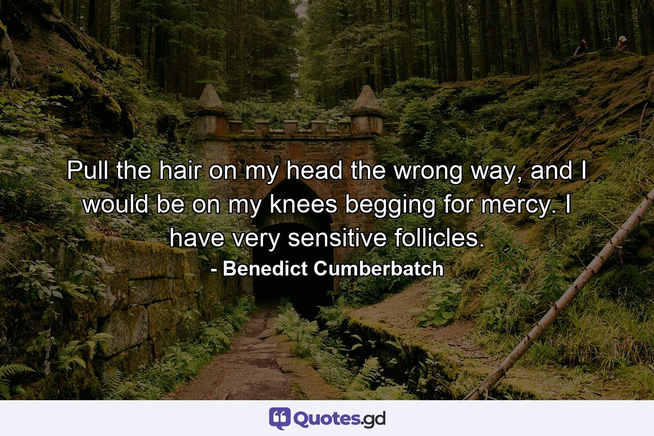 Pull the hair on my head the wrong way, and I would be on my knees begging for mercy. I have very sensitive follicles. - Quote by Benedict Cumberbatch