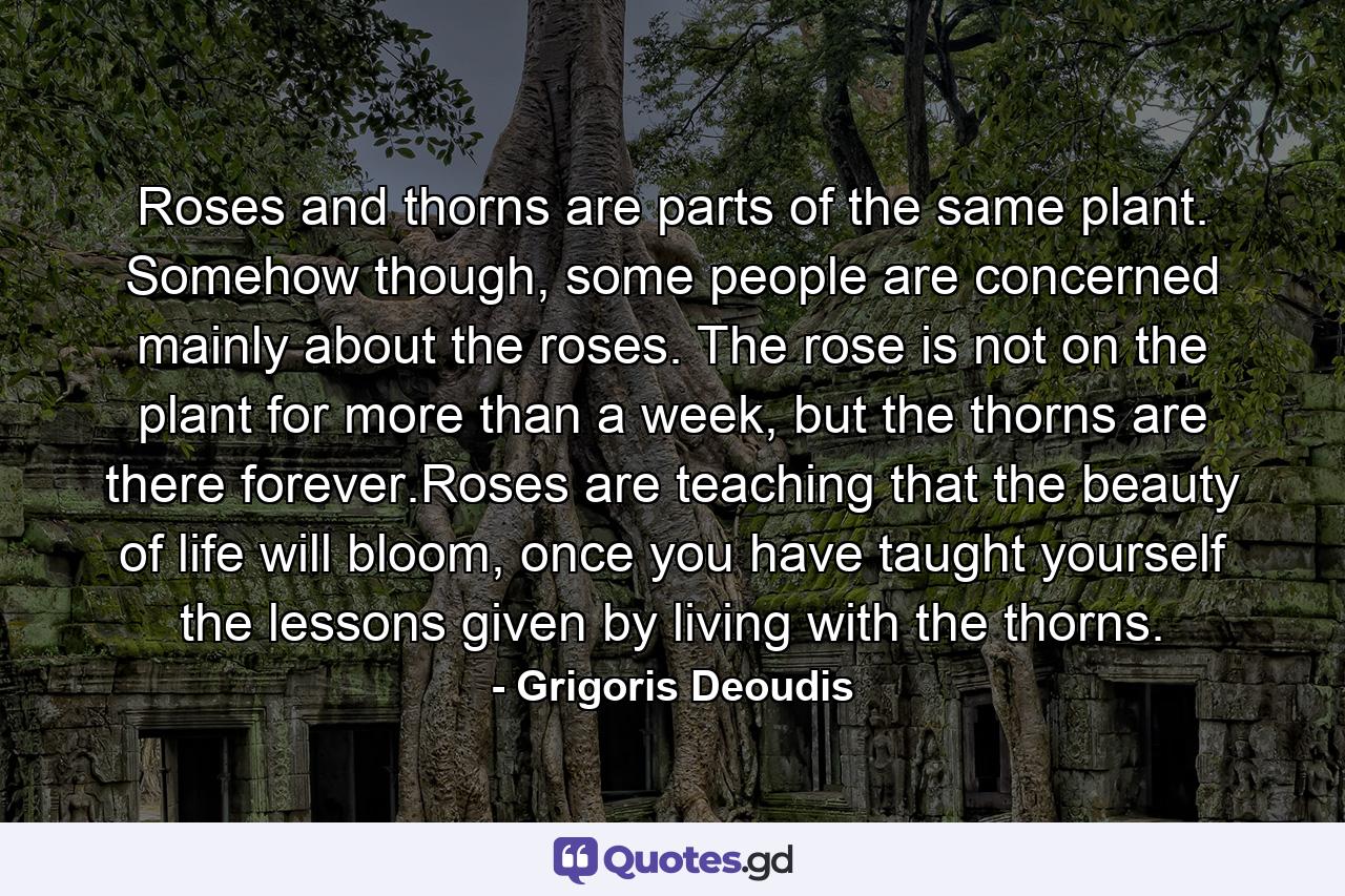 Roses and thorns are parts of the same plant. Somehow though, some people are concerned mainly about the roses. The rose is not on the plant for more than a week, but the thorns are there forever.Roses are teaching that the beauty of life will bloom, once you have taught yourself the lessons given by living with the thorns. - Quote by Grigoris Deoudis