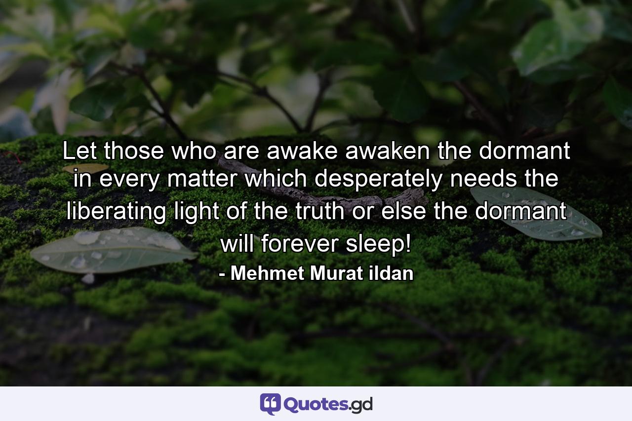 Let those who are awake awaken the dormant in every matter which desperately needs the liberating light of the truth or else the dormant will forever sleep! - Quote by Mehmet Murat ildan