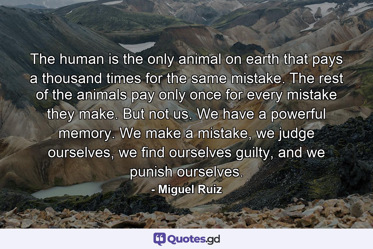 The human is the only animal on earth that pays a thousand times for the same mistake. The rest of the animals pay only once for every mistake they make. But not us. We have a powerful memory. We make a mistake, we judge ourselves, we find ourselves guilty, and we punish ourselves. - Quote by Miguel Ruiz