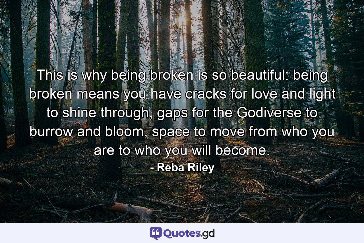 This is why being broken is so beautiful: being broken means you have cracks for love and light to shine through, gaps for the Godiverse to burrow and bloom, space to move from who you are to who you will become. - Quote by Reba Riley