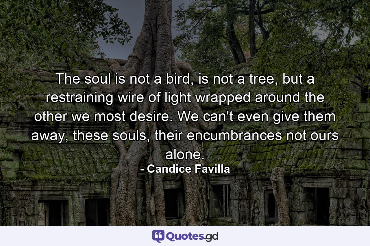 The soul is not a bird, is not a tree, but a restraining wire of light wrapped around the other we most desire. We can't even give them away, these souls, their encumbrances not ours alone. - Quote by Candice Favilla