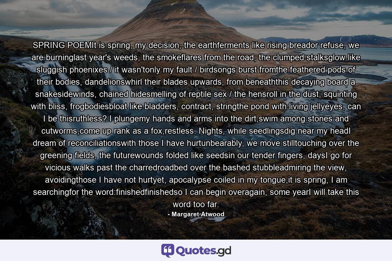 SPRING POEMIt is spring, my decision, the earthferments like rising breador refuse, we are burninglast year's weeds, the smokeflares from the road, the clumped stalksglow like sluggish phoenixes / it wasn'tonly my fault / birdsongs burst fromthe feathered pods of their bodies, dandelionswhirl their blades upwards, from beneaththis decaying board a snakesidewinds, chained hidesmelling of reptile sex / the hensroll in the dust, squinting with bliss, frogbodiesbloat like bladders, contract, stringthe pond with living jellyeyes, can I be thisruthless? I plungemy hands and arms into the dirt,swim among stones and cutworms,come up rank as a fox,restless. Nights, while seedlingsdig near my headI dream of reconciliationswith those I have hurtunbearably, we move stilltouching over the greening fields, the futurewounds folded like seedsin our tender fingers, daysI go for vicious walks past the charredroadbed over the bashed stubbleadmiring the view, avoidingthose I have not hurtyet, apocalypse coiled in my tongue,it is spring, I am searchingfor the word:finishedfinishedso I can begin overagain, some yearI will take this word too far. - Quote by Margaret Atwood