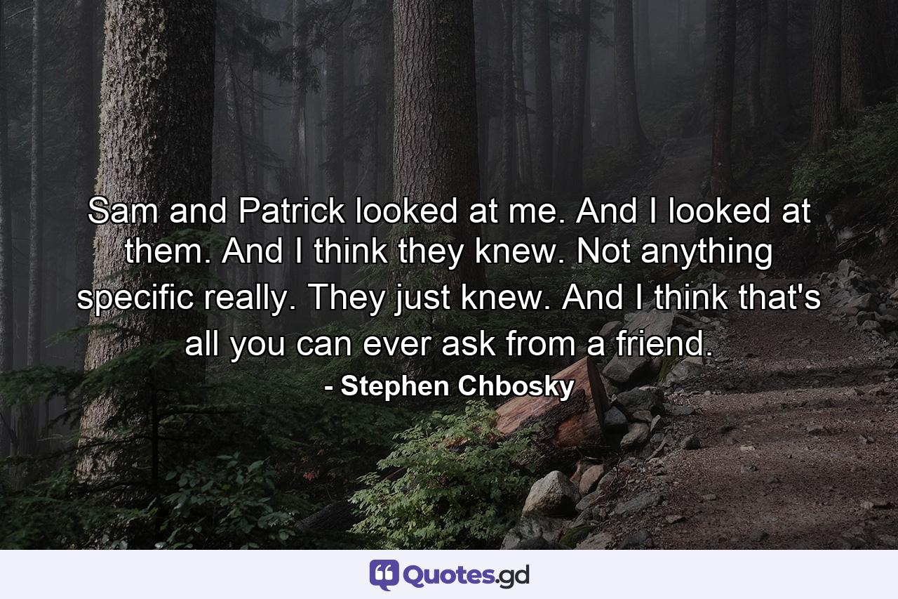 Sam and Patrick looked at me. And I looked at them. And I think they knew. Not anything specific really. They just knew. And I think that's all you can ever ask from a friend. - Quote by Stephen Chbosky