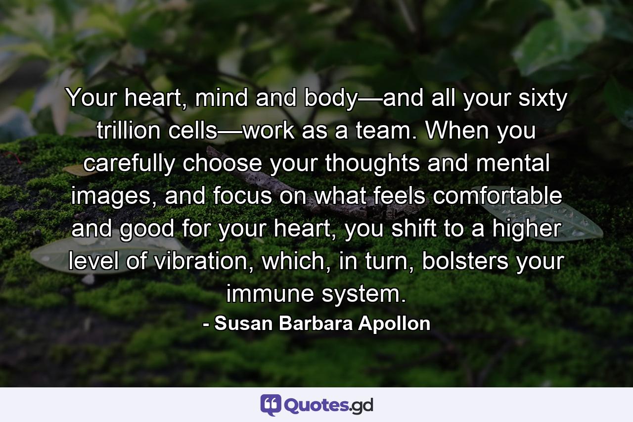 Your heart, mind and body—and all your sixty trillion cells—work as a team. When you carefully choose your thoughts and mental images, and focus on what feels comfortable and good for your heart, you shift to a higher level of vibration, which, in turn, bolsters your immune system. - Quote by Susan Barbara Apollon